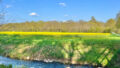 Musterfoto - Landschaft in der Wedemark