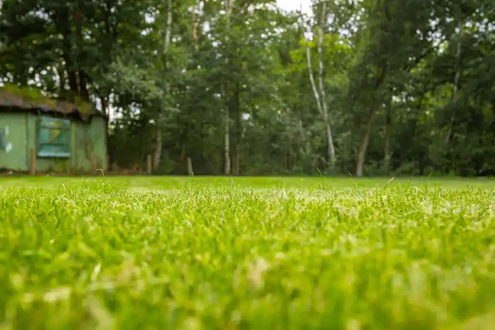 Grundstück hinten Gartenbereich